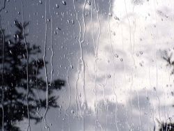 1515