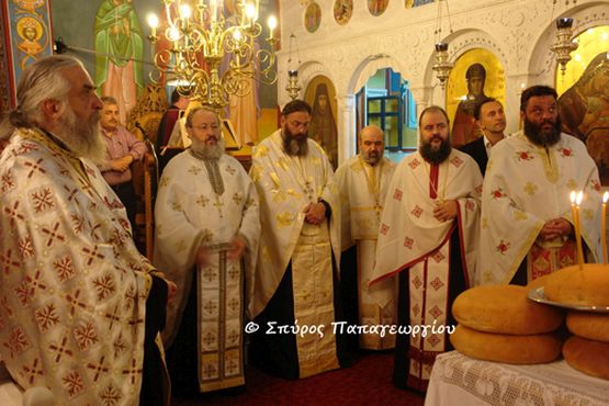 erythraia11.JPG