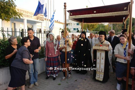 erythraia2.JPG