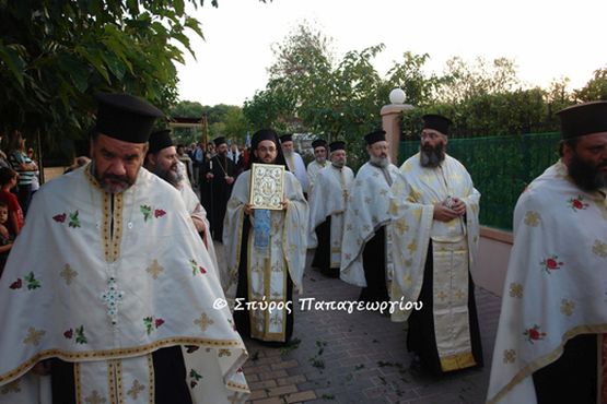 erythraia3.JPG