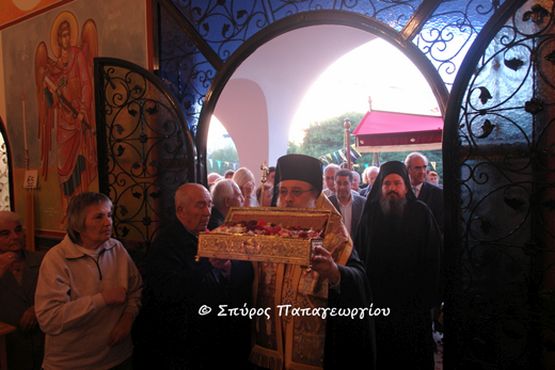 erythraia7.JPG