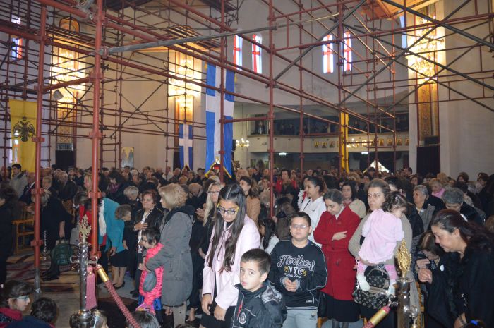 09dendropotamos13.JPG