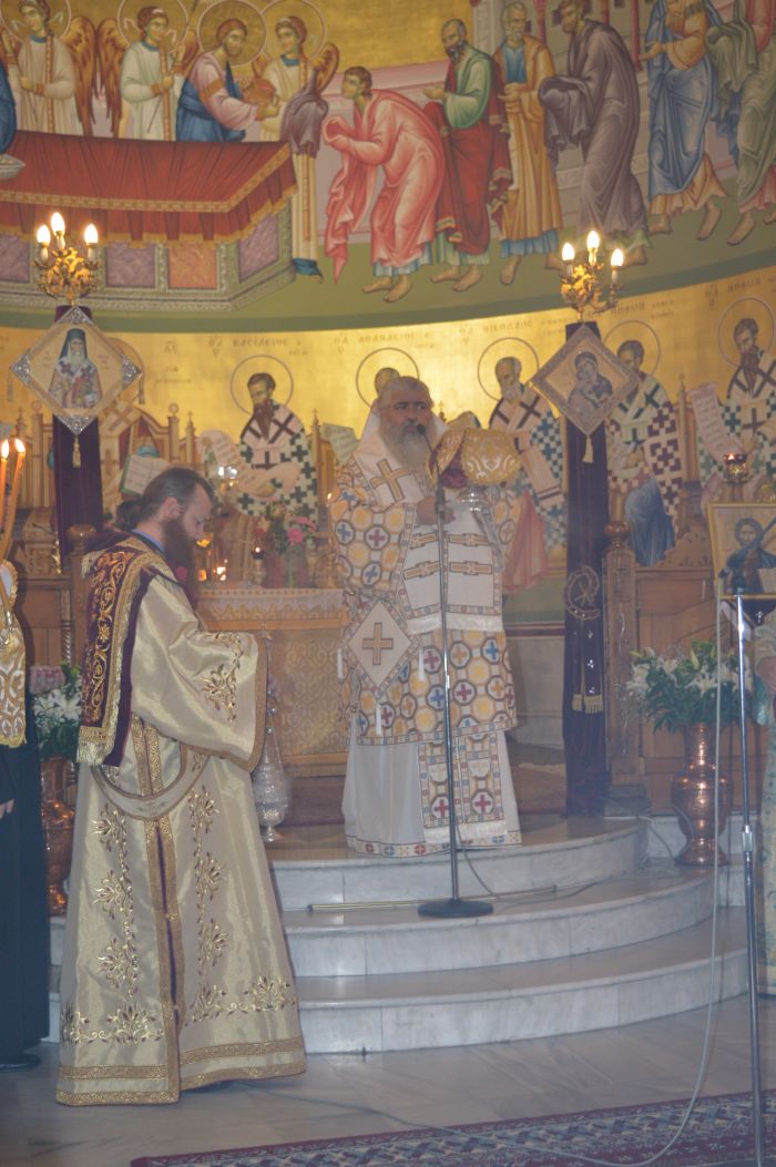 09dendropotamos8.JPG
