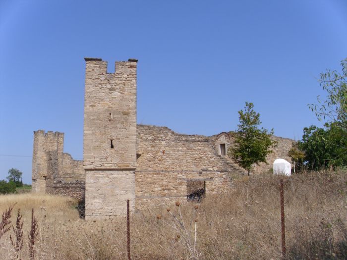 syn-DSCI0067.JPG
