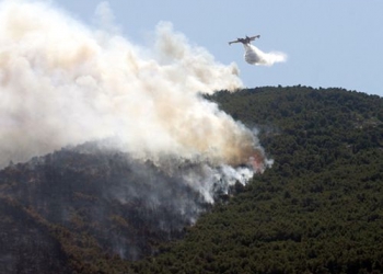 Άγιον Όρος: Υπό μερικό έλεγχο η πυρκαγιά