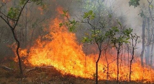 Φωτιά τώρα: Παρακολουθήστε live φωτιές σε Ελλάδα και Ευρώπη