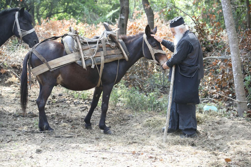 Τα μονοπάτια του Αγίου Όρους