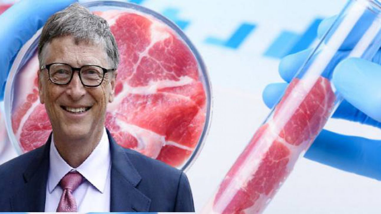 Αποτέλεσμα εικόνας για Μπιλ Γκέιτς: «Φάτε συνθετικό κρέας – Θα το συνηθίσετε»
