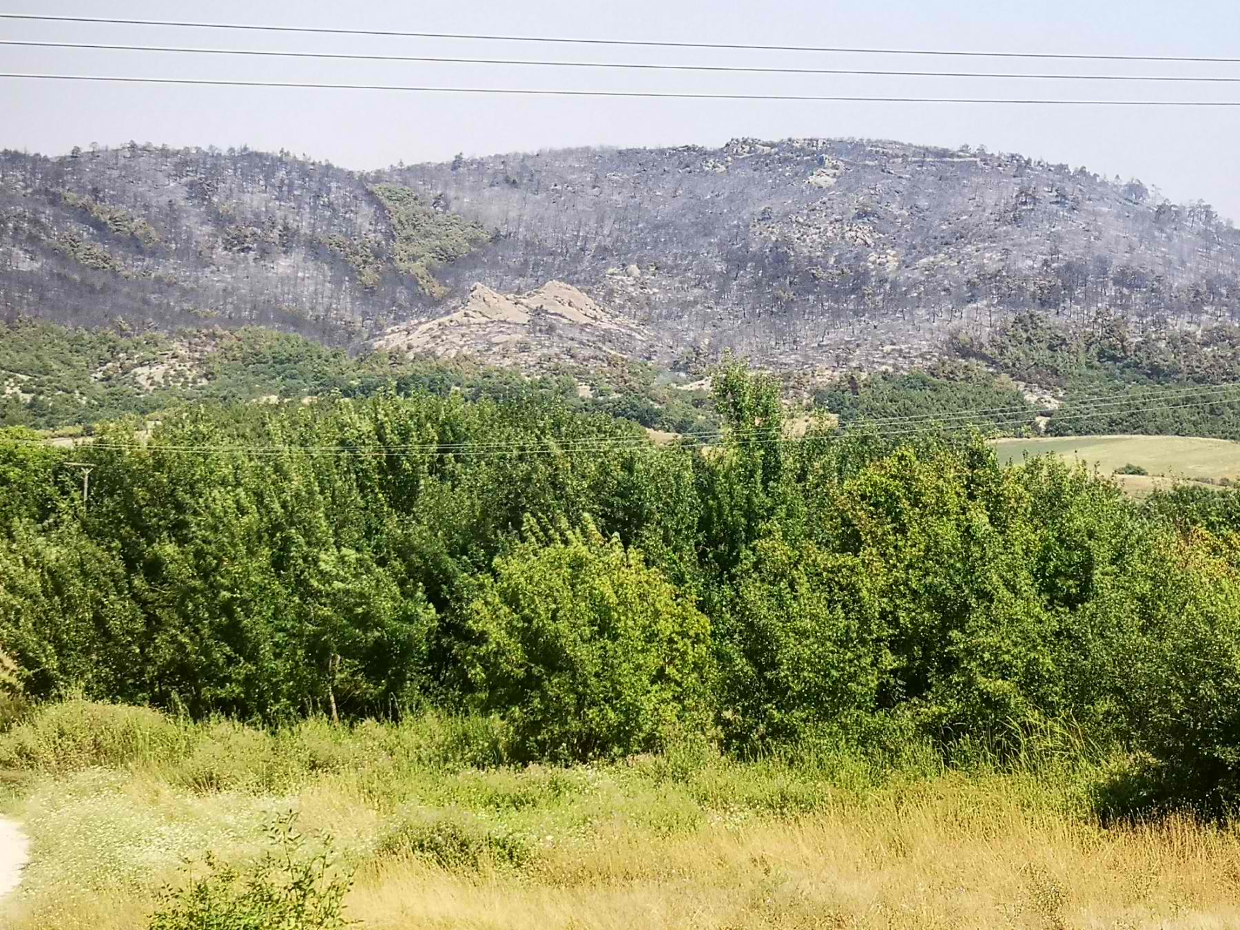 Στο περικυκλωμένο από την φωτιά και σκεπασμένο από καπνό Μοναστήρι της Δαδιάς ο Διδυμοτείχου Δαμασκηνός