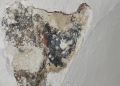 Κρήτη: Στο «φως» αγιογραφίες του 10ου αιώνα στην Παναγιά τη Σπηλιώτισσα