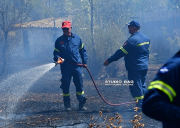 Πυρκαγιά εκδηλώθηκε σε αγρόκτημα στην περιοχή της Άριας Ναυπλίου ,δίπλα σε κατοικίες , Δευτέρα 24 Ιουλίου 2023. Στο σημείο έσπευσαν ισχυρές δυνάμεις της πυροσβεστικής αλλά και της αστυνομίας καθώς στην περιοχή βρίσκονται διάσπαρτες οικίες και παιδικός σταθμός για την περίπτωση που χρειαστεί εκκένωση. Ευτυχώς η επέμβαση της πυροσβεστικής ήταν άμεση και με την βοήθεια του Δήμου που απέστειλε υδροφόρα η φωτιά τέθηκε σύντομα υπό έλεγχο.