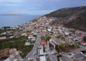 DCIM100MEDIADJI_0717.JPG